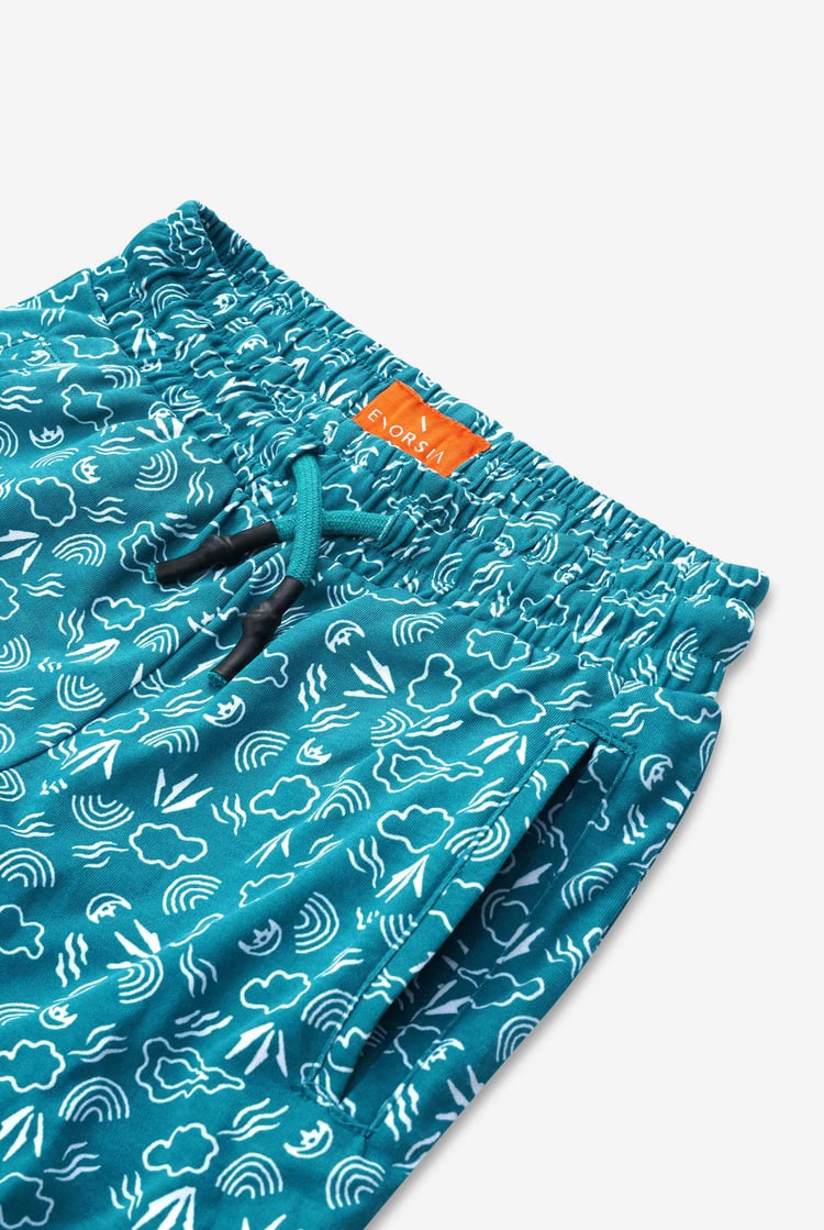 Boys Printed Jersey Shorts (12/18mths-7yrs)