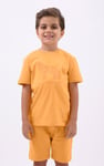 Boys Wolf Print T-shirt & Shorts Set (3yrs-9yrs)