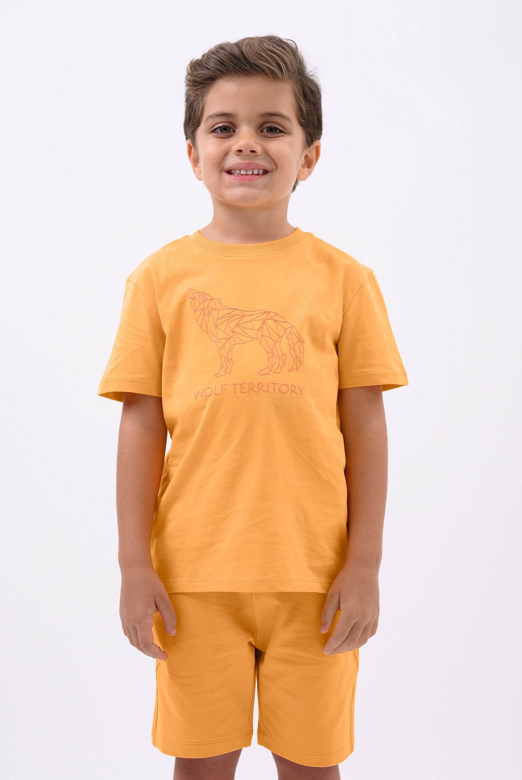 Boys Wolf Print T-shirt & Shorts Set (3yrs-9yrs)