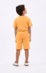 Boys Wolf Print T-shirt & Shorts Set (3yrs-9yrs)