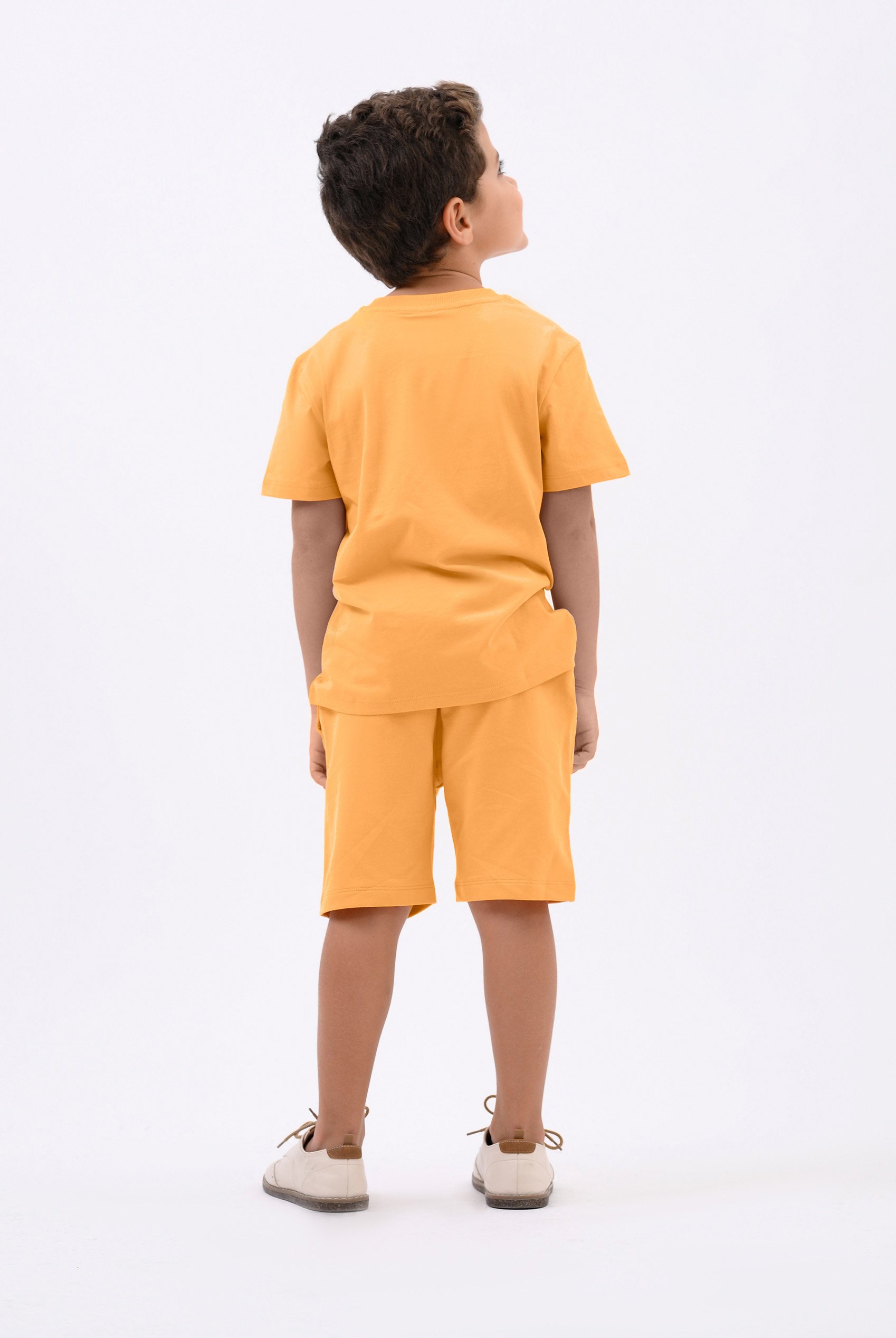 Boys Wolf Print T-shirt & Shorts Set (3yrs-9yrs)