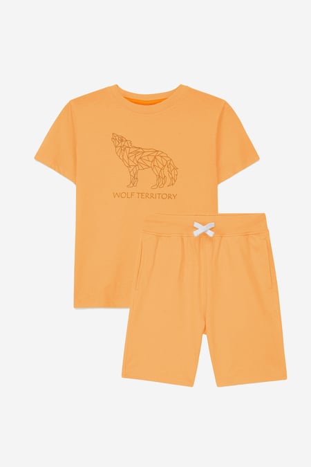 Boys Yellow Wolf Print T-shirt & Shorts Set (3yrs-9yrs)
