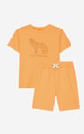 Boys Wolf Print T-shirt & Shorts Set (3yrs-9yrs)