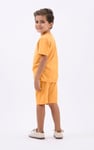 Boys Wolf Print T-shirt & Shorts Set (3yrs-9yrs)