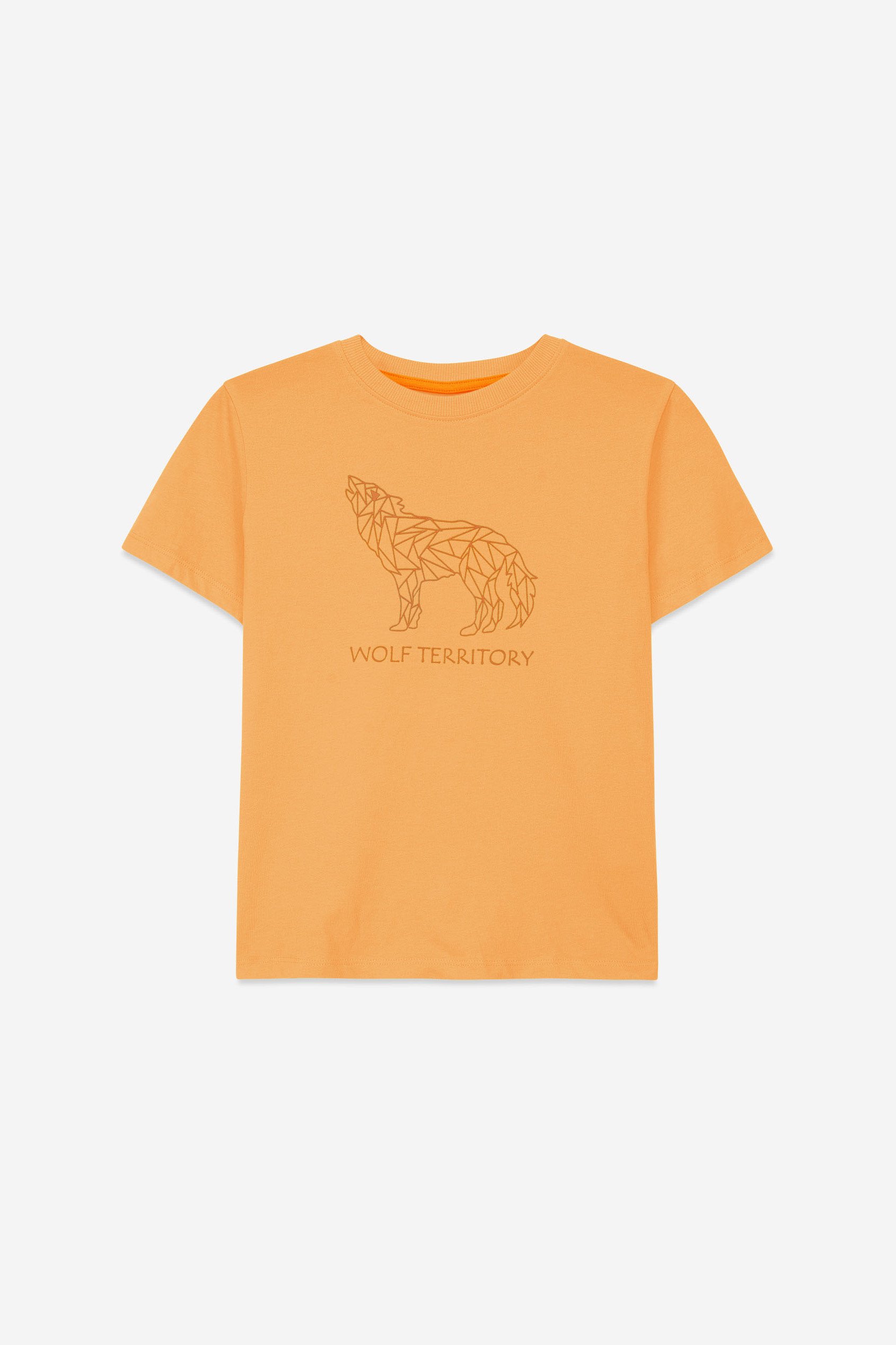 Boys Wolf Print T-shirt & Shorts Set (3yrs-9yrs)