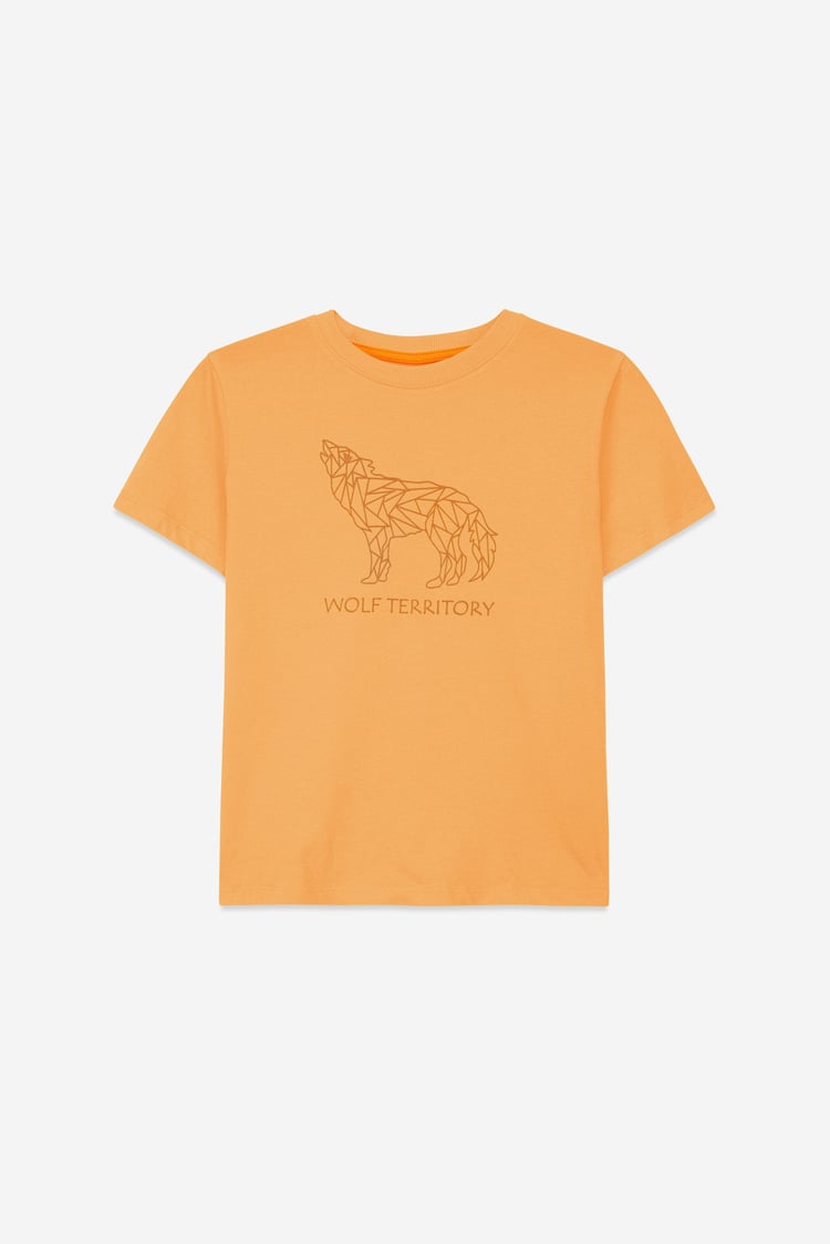 Boys Wolf Print T-shirt & Shorts Set (3yrs-9yrs)