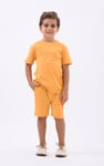 Boys Wolf Print T-shirt & Shorts Set (3yrs-9yrs)