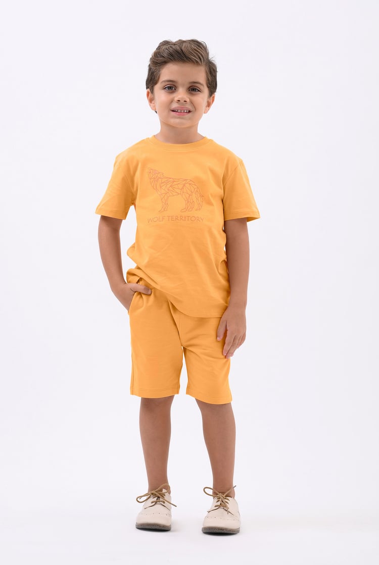 Boys Wolf Print T-shirt & Shorts Set (3yrs-9yrs)