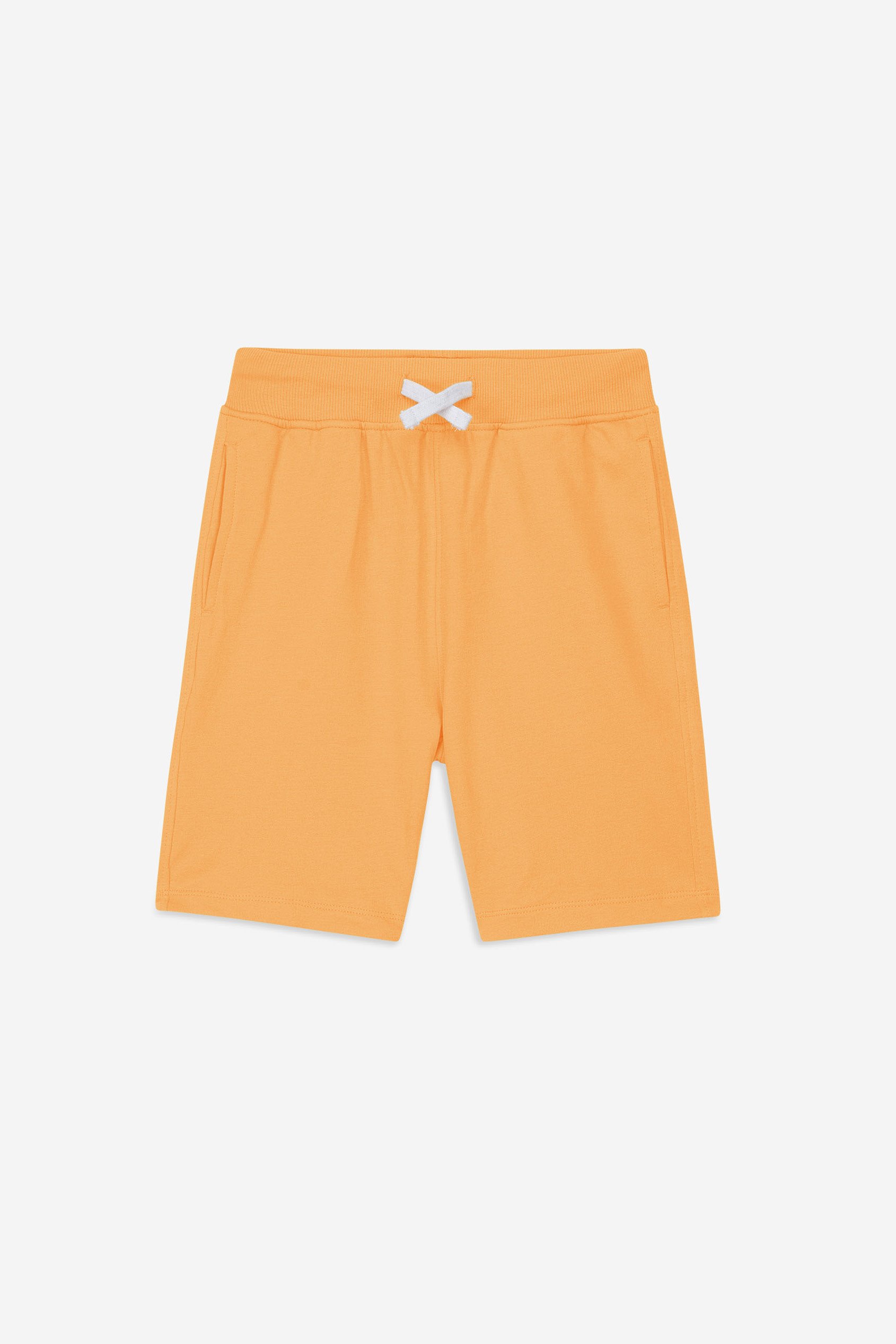 Boys Wolf Print T-shirt & Shorts Set (3yrs-9yrs)