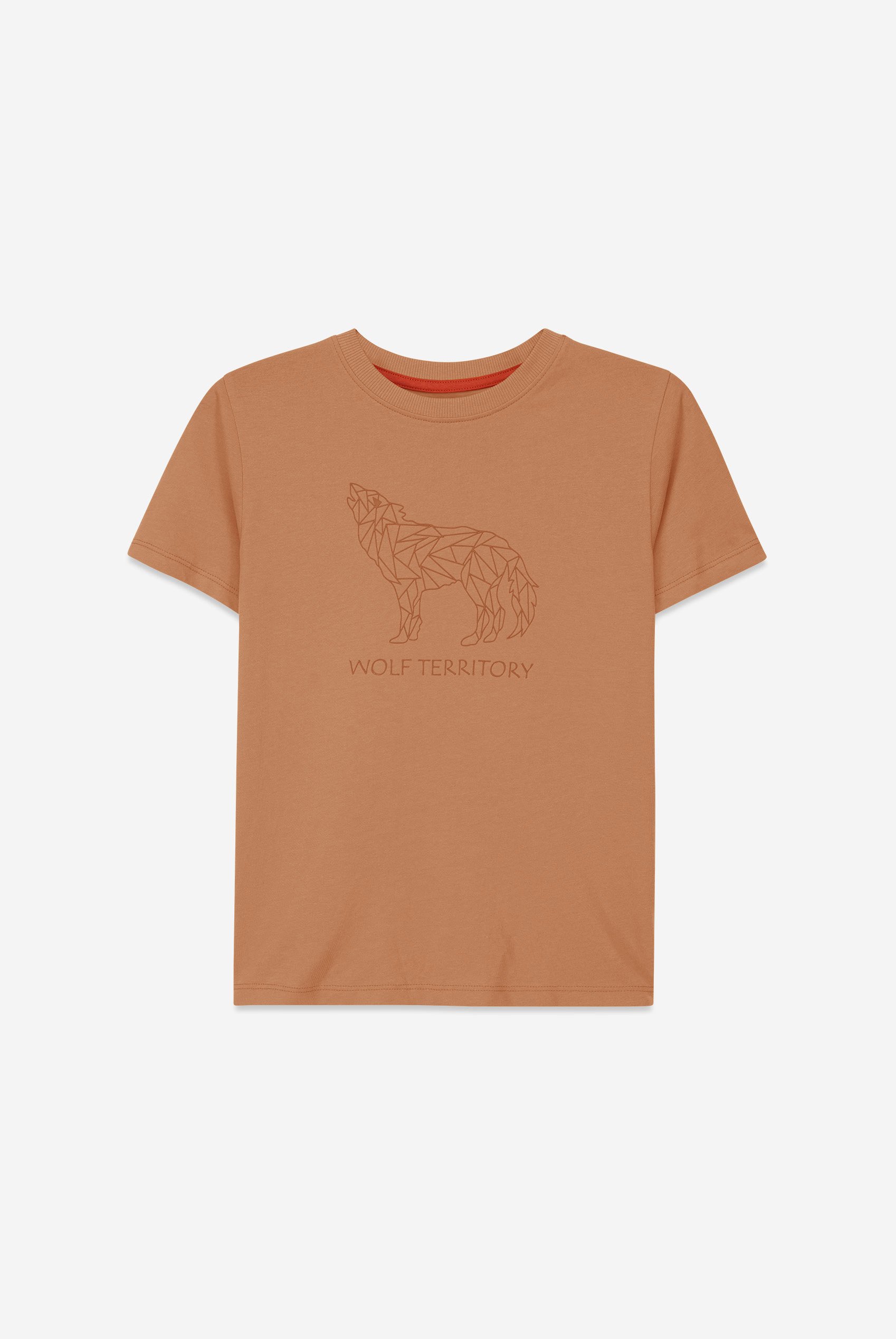 Boys Wolf Print T-shirt & Shorts Set (3yrs-9yrs)