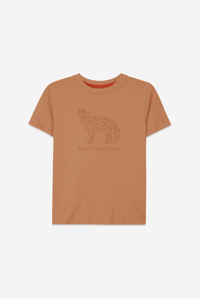 Boys Wolf Print T-shirt & Shorts Set (3yrs-9yrs)