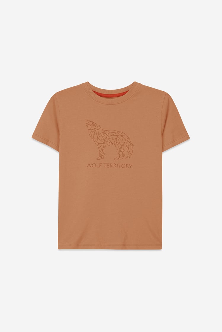 Boys Wolf Print T-shirt & Shorts Set (3yrs-9yrs)