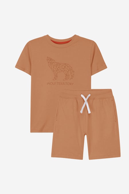 Boys Tan Wolf Print T-shirt & Shorts Set (3yrs-9yrs)