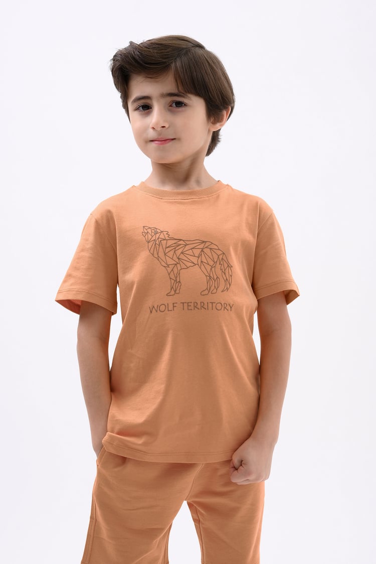 Boys Wolf Print T-shirt & Shorts Set (3yrs-9yrs)