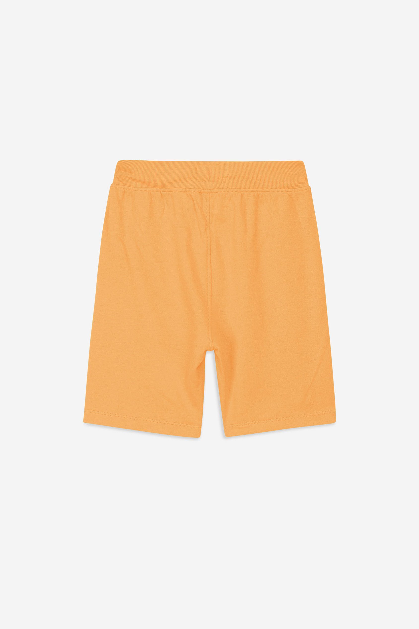 Boys Wolf Print T-shirt & Shorts Set (3yrs-9yrs)