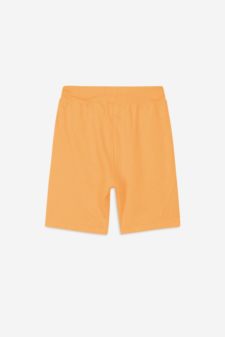 Boys Wolf Print T-shirt & Shorts Set (3yrs-9yrs)