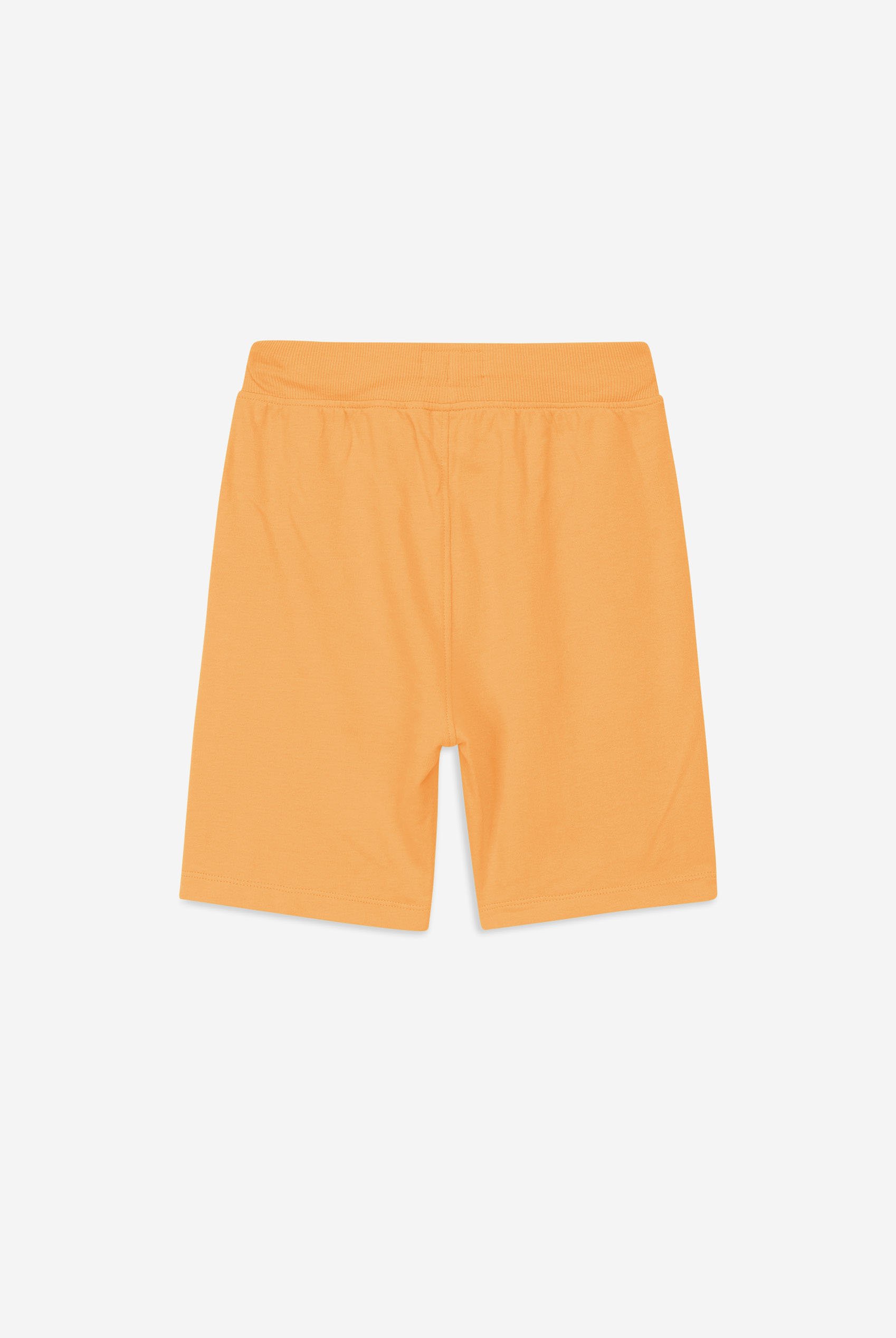 Boys Wolf Print T-shirt & Shorts Set (3yrs-9yrs)