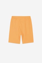 Boys Wolf Print T-shirt & Shorts Set (3yrs-9yrs)