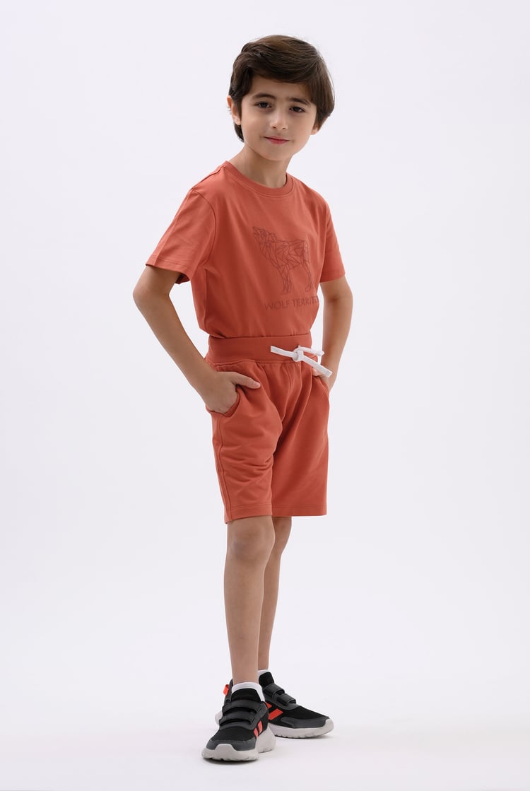 Boys Wolf Print T-shirt & Shorts Set (3yrs-9yrs)