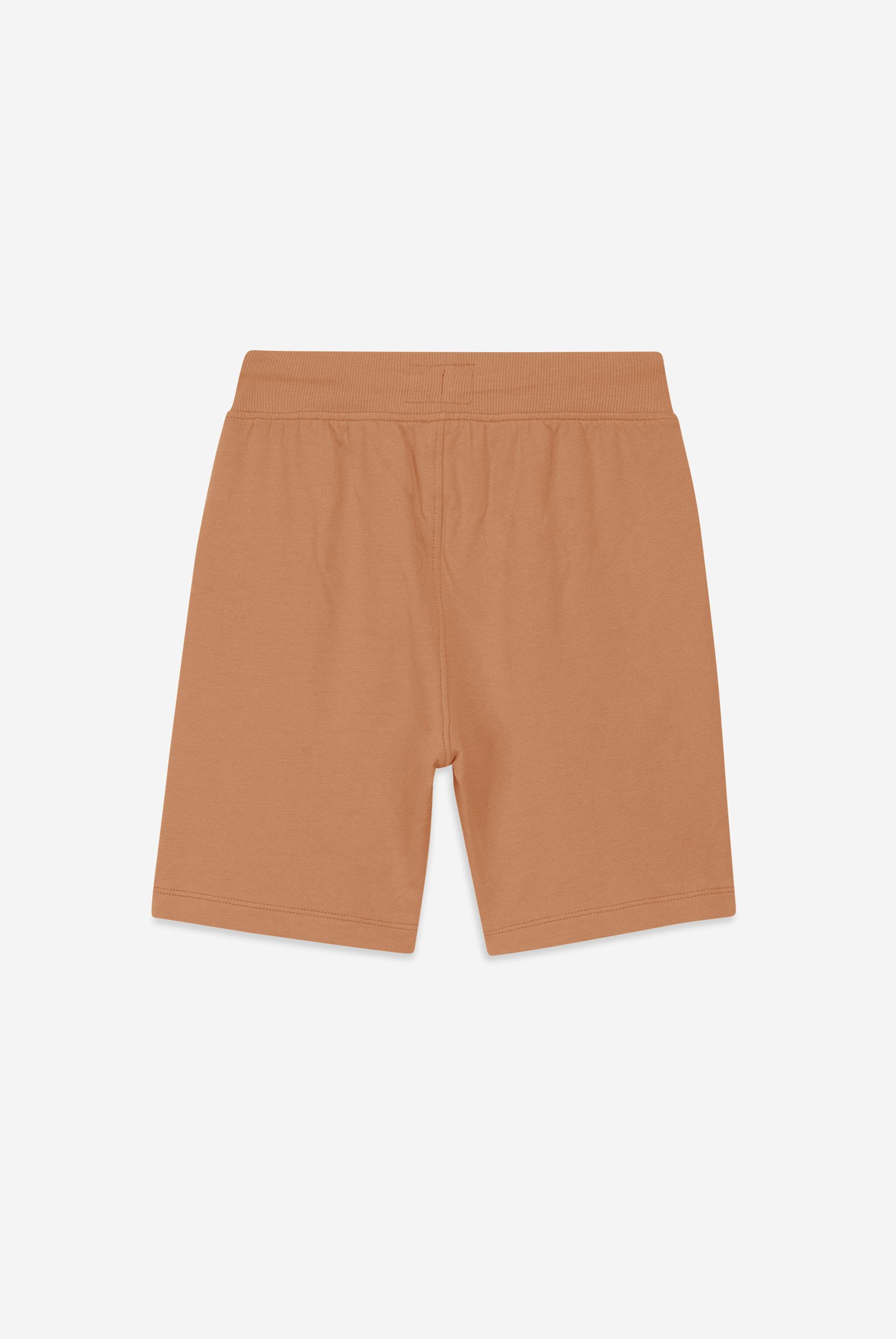 Boys Wolf Print T-shirt & Shorts Set (3yrs-9yrs)