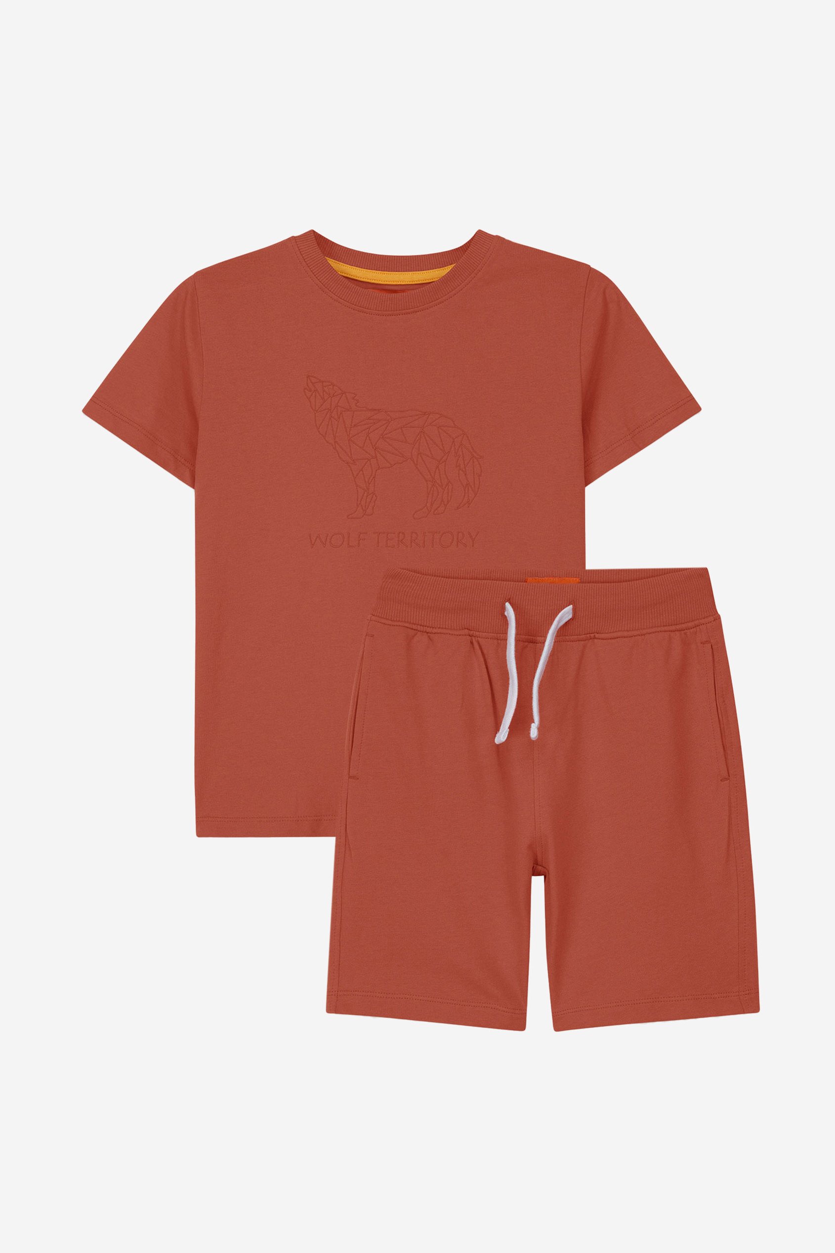 Boys Wolf Print T-shirt & Shorts Set (3yrs-9yrs)