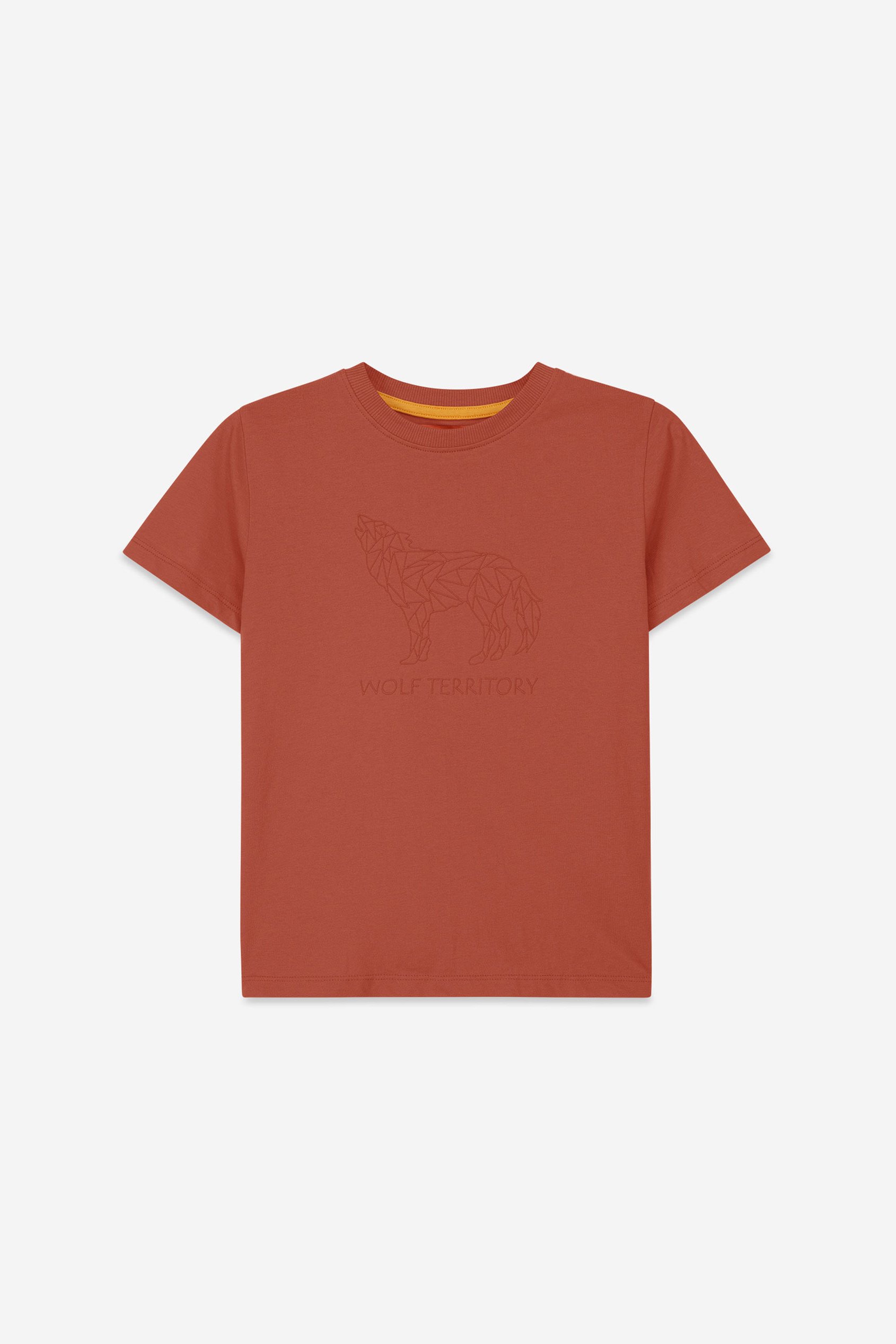 Boys Wolf Print T-shirt & Shorts Set (3yrs-9yrs)