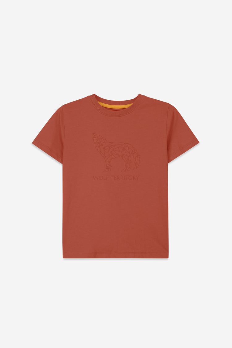 Boys Wolf Print T-shirt & Shorts Set (3yrs-9yrs)