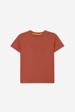 Boys Wolf Print T-shirt & Shorts Set (3yrs-9yrs)