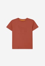 Boys Wolf Print T-shirt & Shorts Set (3yrs-9yrs)