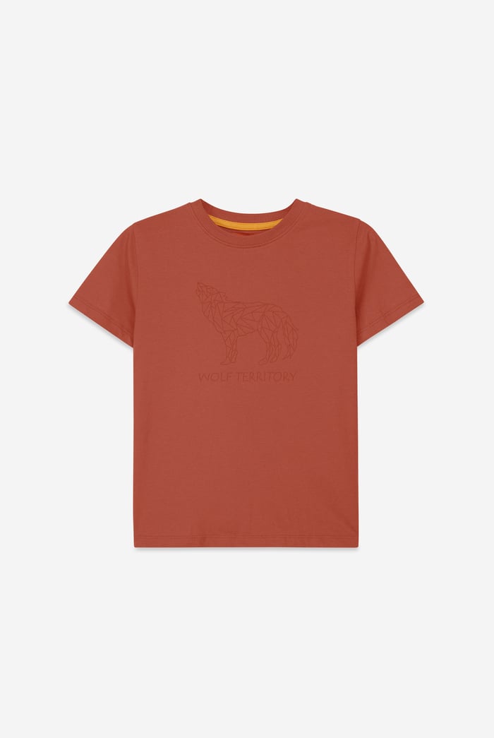 Boys Wolf Print T-shirt & Shorts Set (3yrs-9yrs)