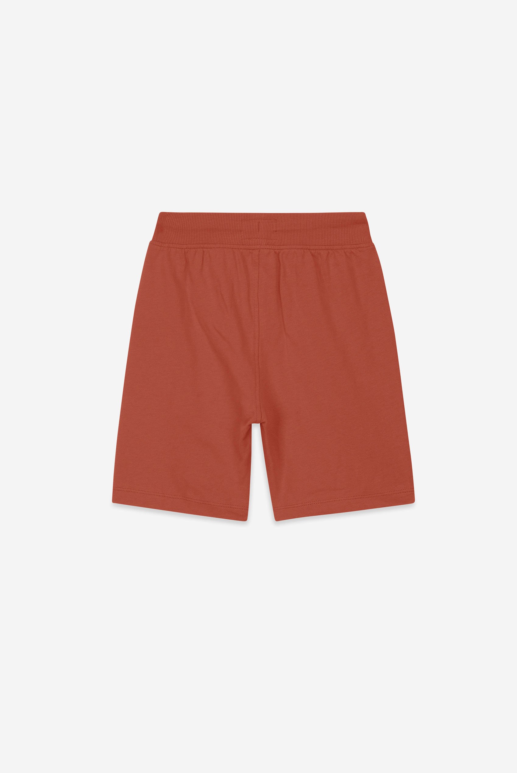 Boys Wolf Print T-shirt & Shorts Set (3yrs-9yrs)