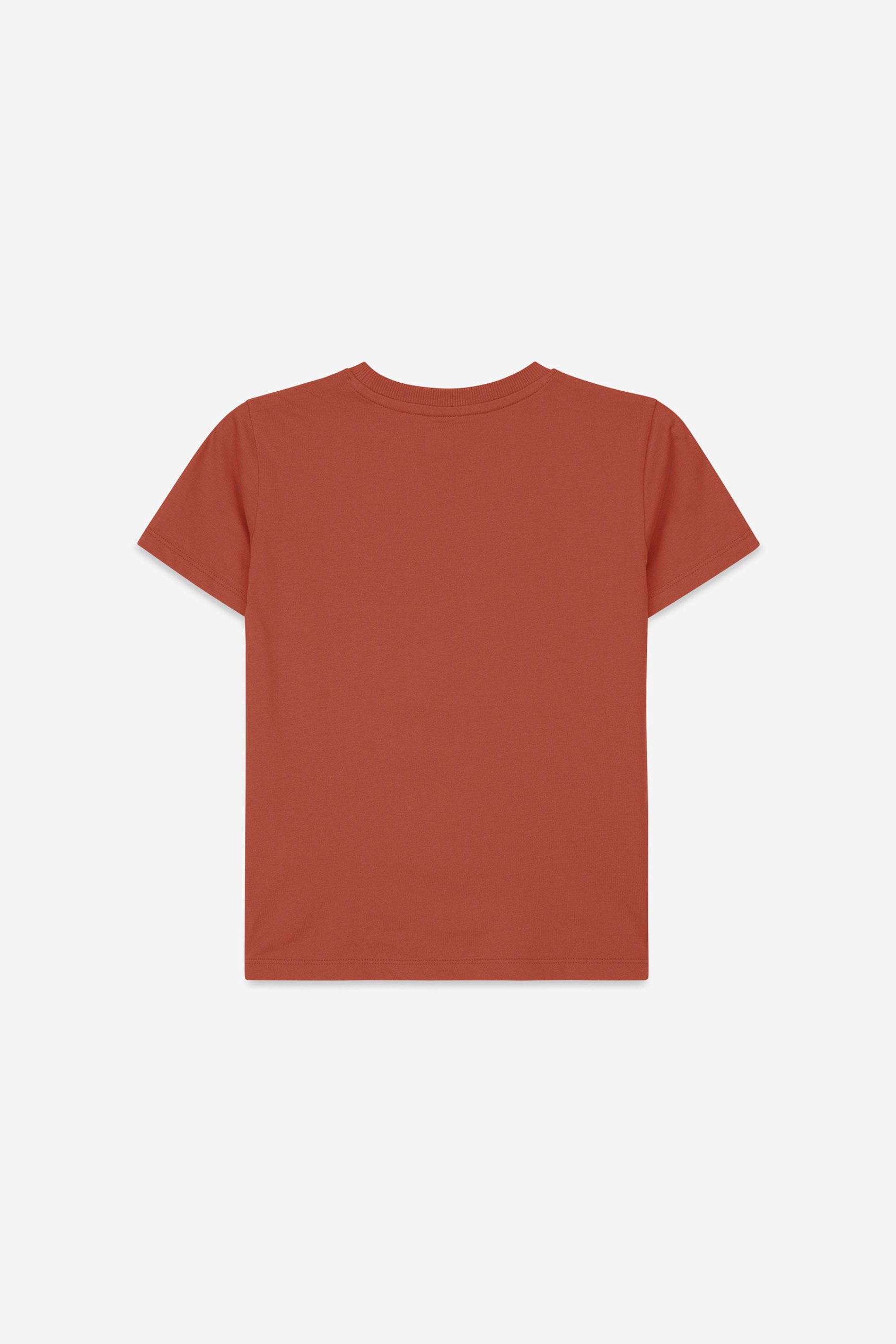 Boys Wolf Print T-shirt & Shorts Set (3yrs-9yrs)