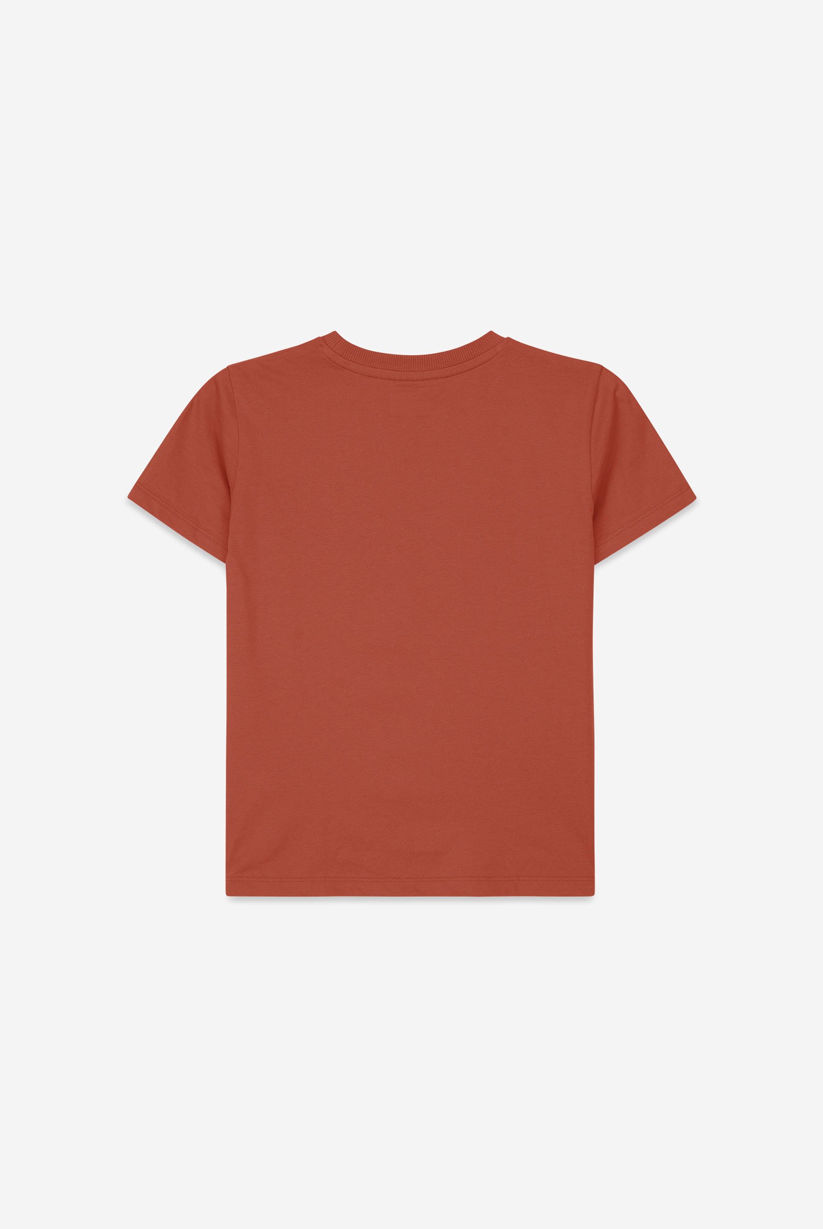 Boys Wolf Print T-shirt & Shorts Set (3yrs-9yrs)