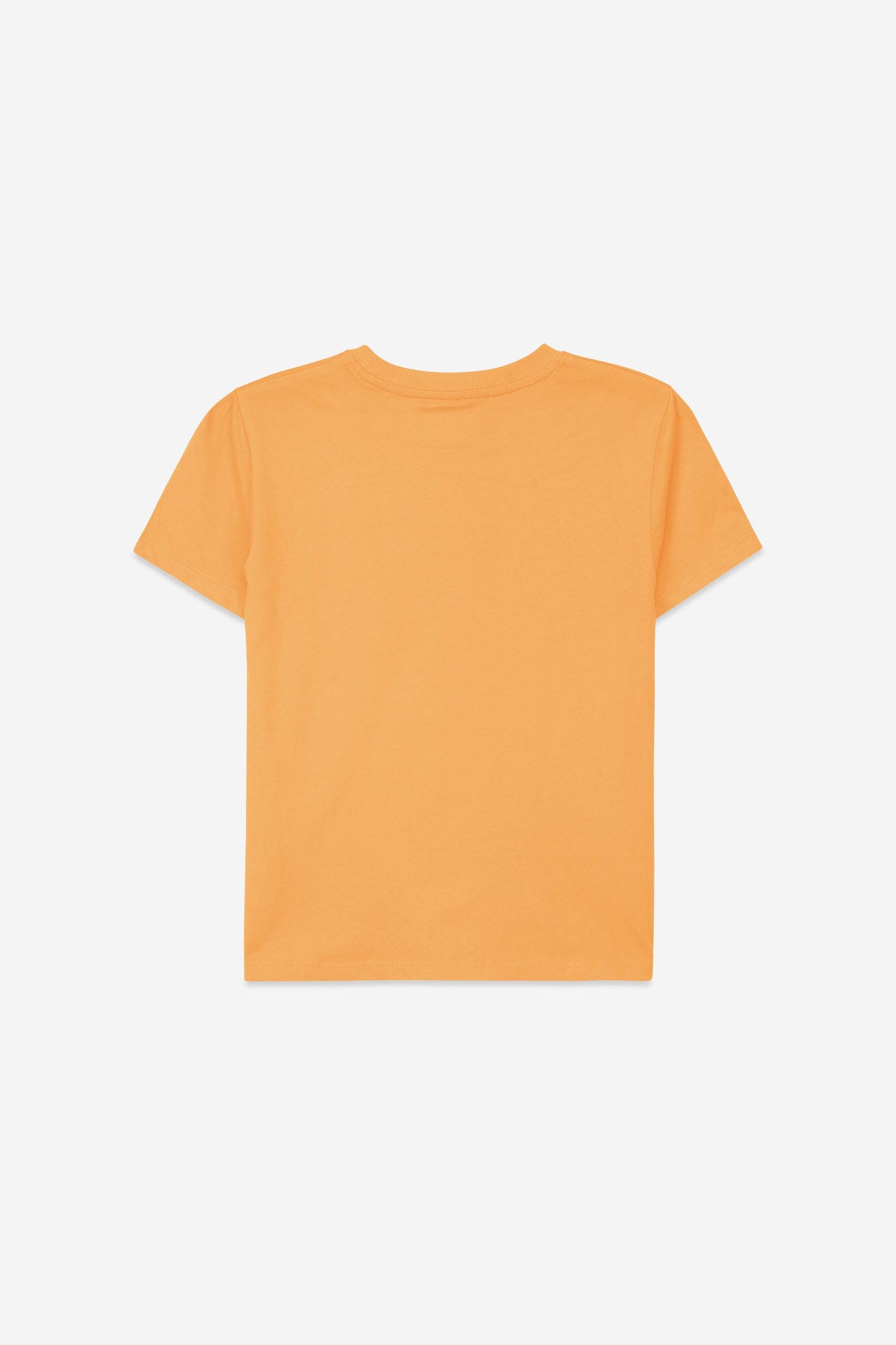 Boys Wolf Print T-shirt & Shorts Set (3yrs-9yrs)