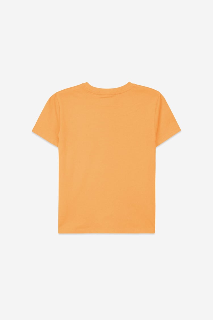 Boys Wolf Print T-shirt & Shorts Set (3yrs-9yrs)