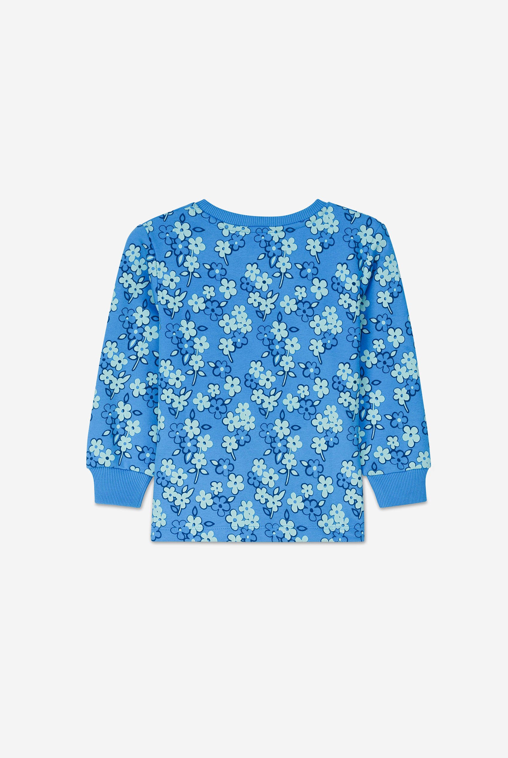 Girls Floral Print Sweatshirt (5yrs-11yrs)