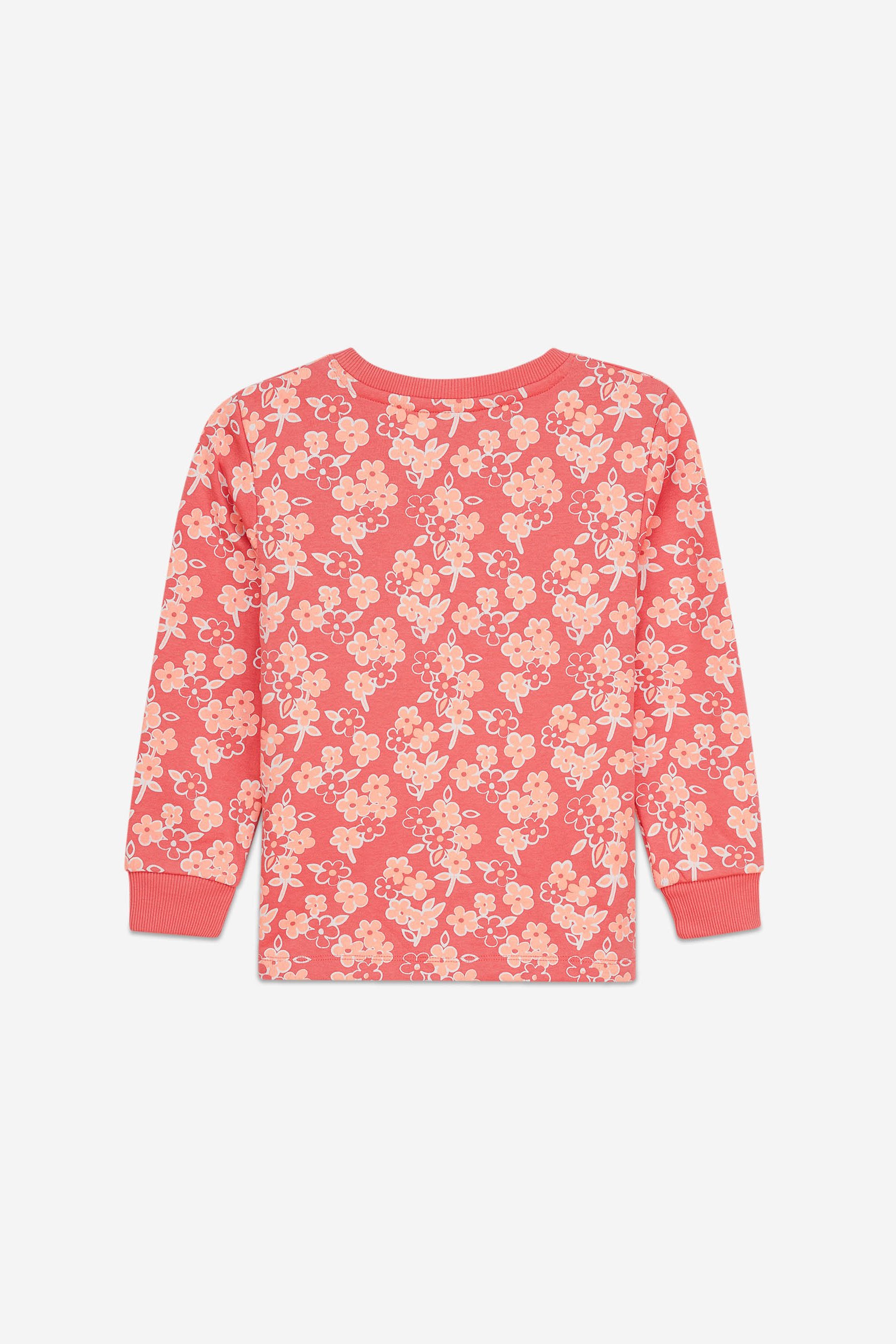 Girls Floral Print Sweatshirt (5yrs-11yrs)