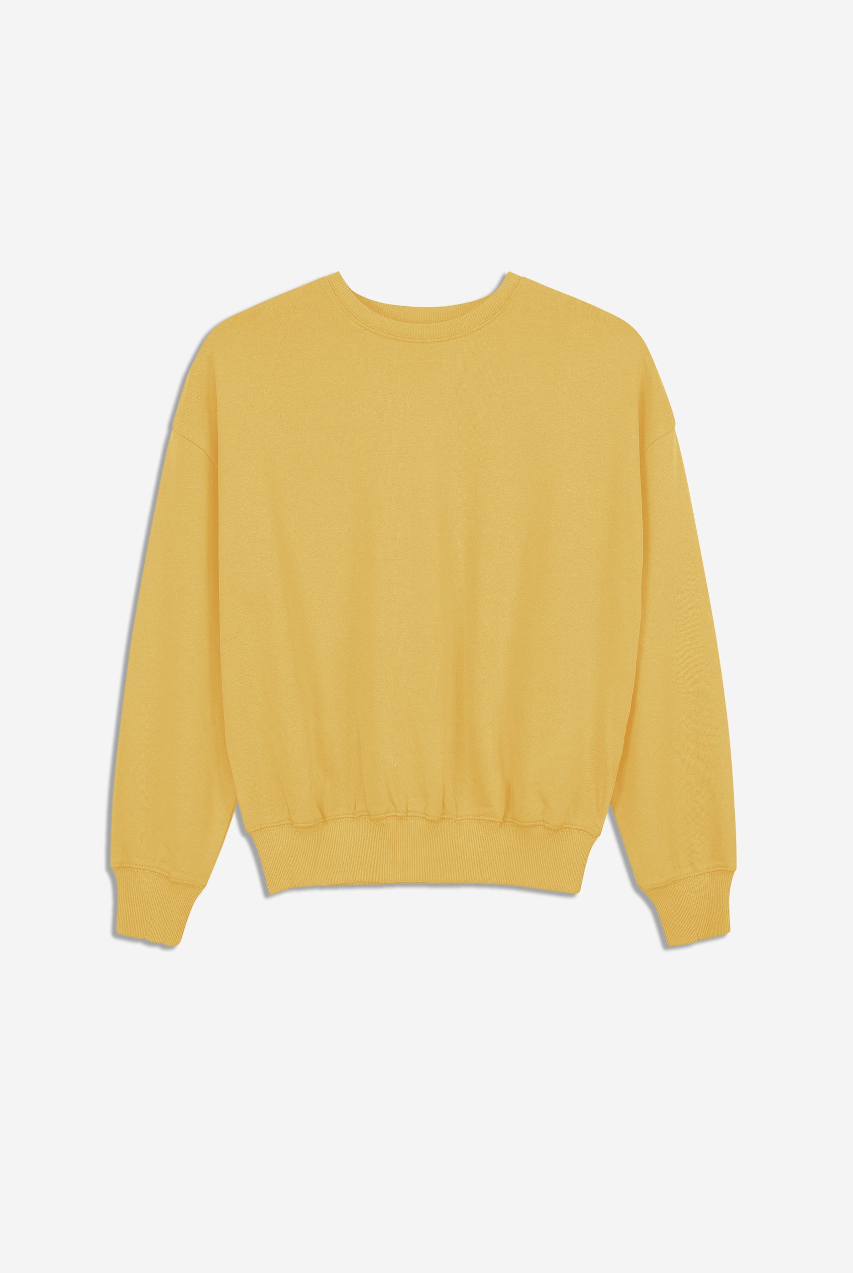 Ribbed Hem Cropped Sweatshirt
