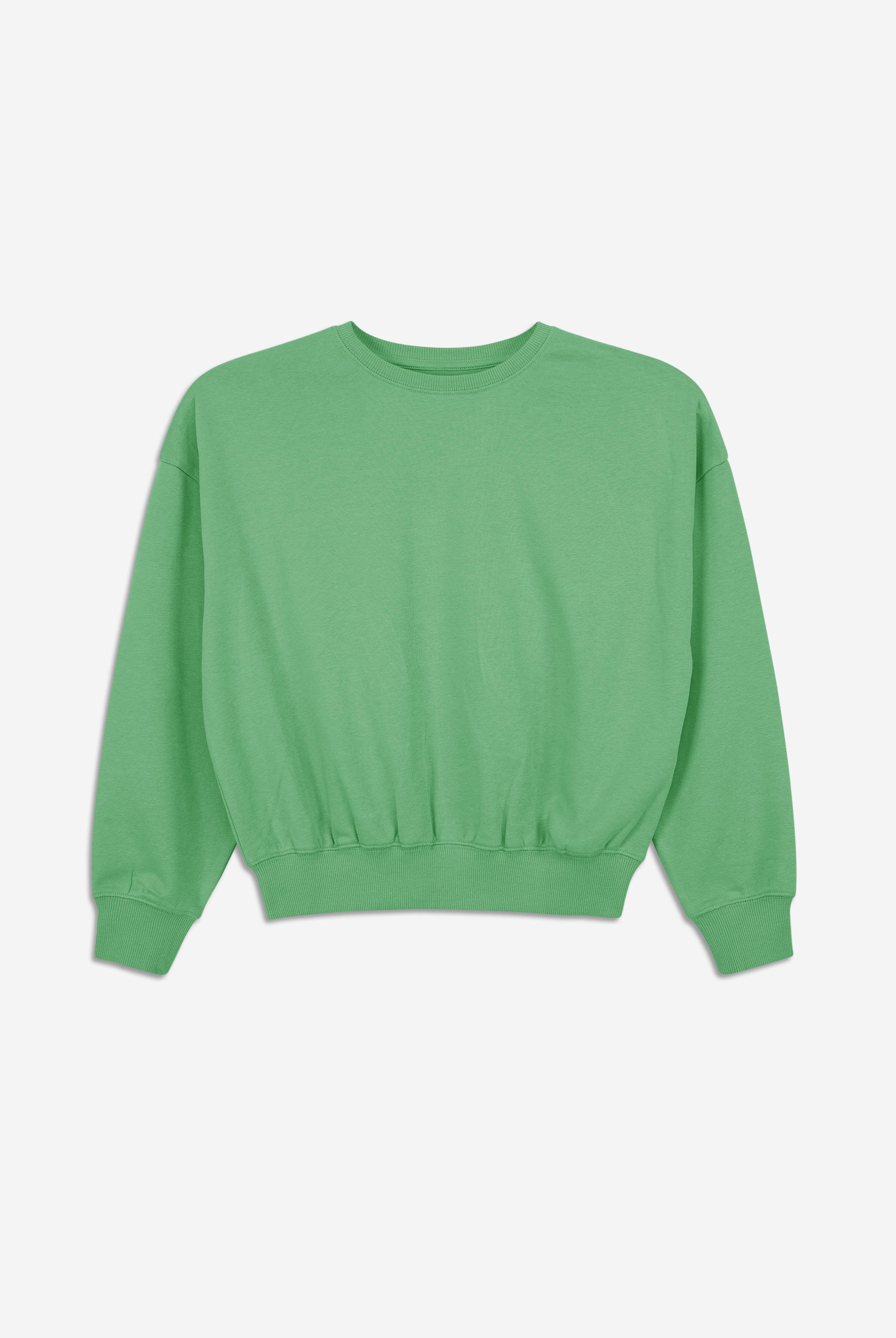 Ribbed Hem Cropped Sweatshirt