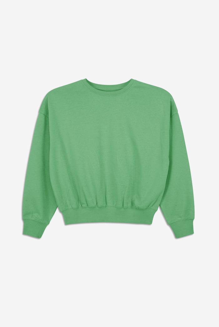 Ribbed Hem Cropped Sweatshirt