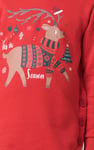 Girls Reindeer Print Christmas Hoodie (2yrs-9yrs)
