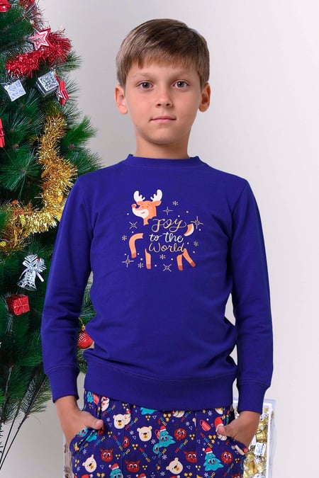 Blue Joy To The World Printed Sweatshirt (3yrs-9yrs)