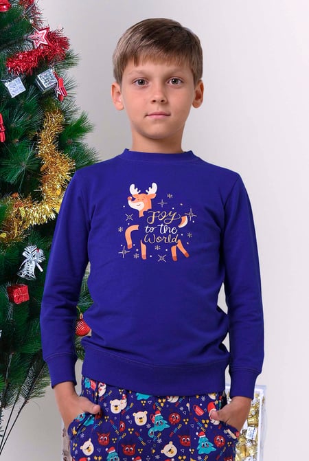 Blue Joy To The World Printed Sweatshirt (3yrs-9yrs)