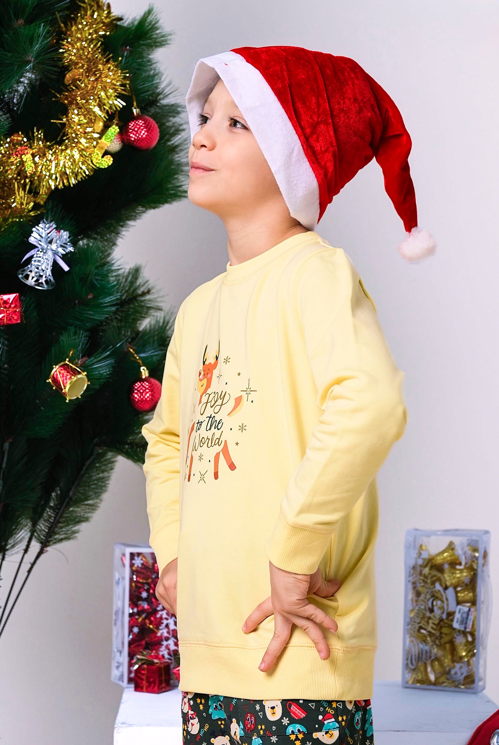 Joy To The World Printed Sweatshirt (3yrs-9yrs)