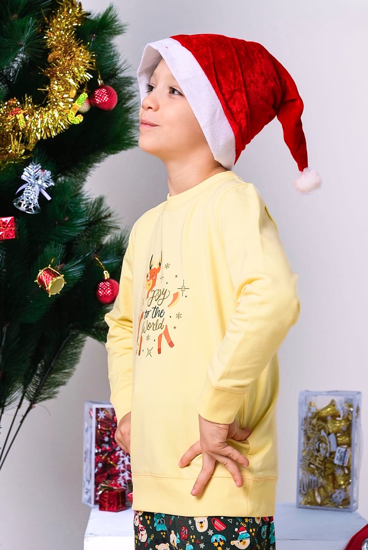 Joy To The World Printed Sweatshirt (3yrs-9yrs)