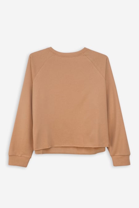 Brown Raw Edge Sweatshirt
