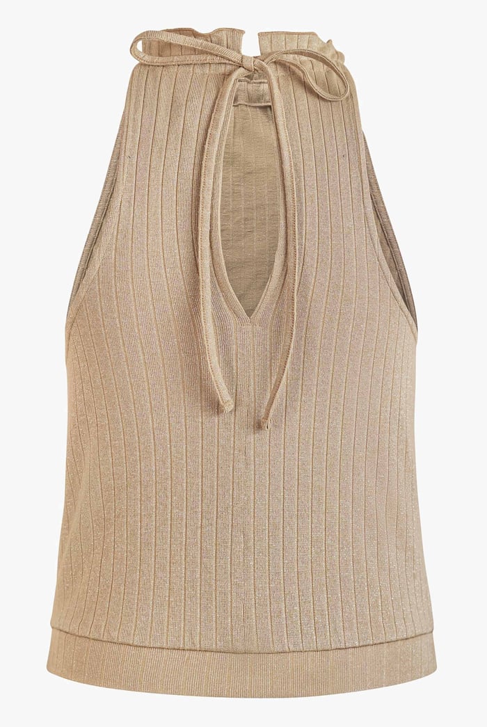 Halter Neck Bow Details Crop Top