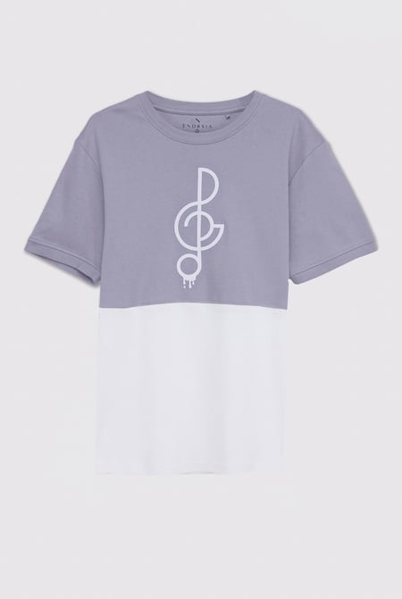 Grey Cut & Sew Colour Block T-Shirt