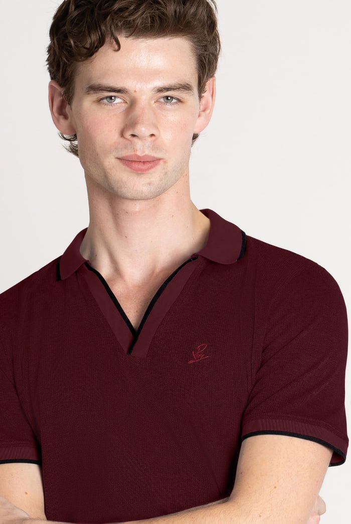 Regular Fit Ribbed V-Neck Polo Shirt