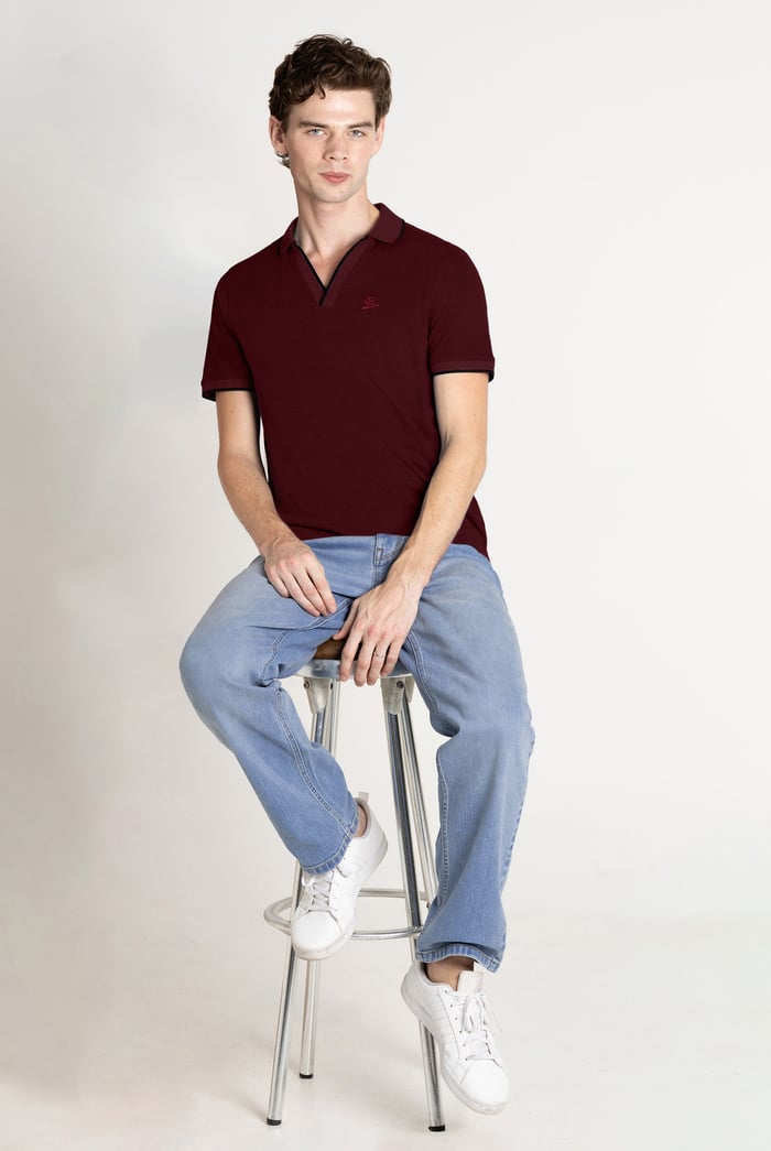 Regular Fit Ribbed V-Neck Polo Shirt